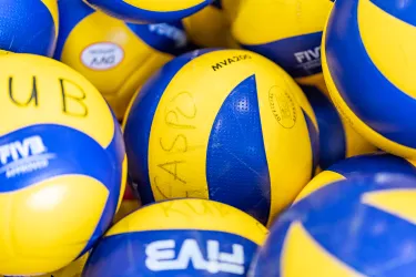 lehrerfobi_velleyball.jpg